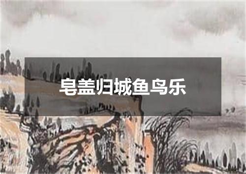 皂盖归城鱼鸟乐