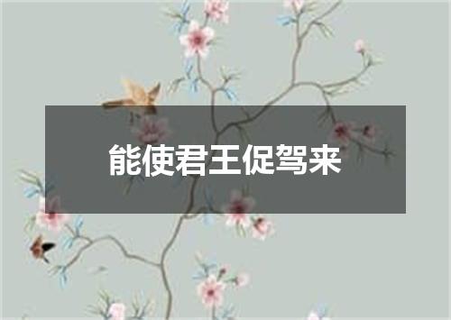 能使君王促驾来