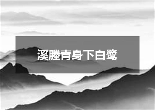 溪塍青身下白鹭