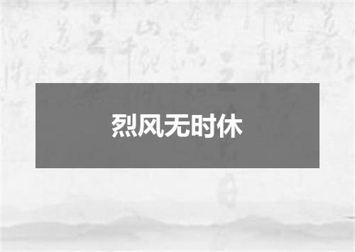 烈风无时休