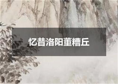 忆昔洛阳董糟丘