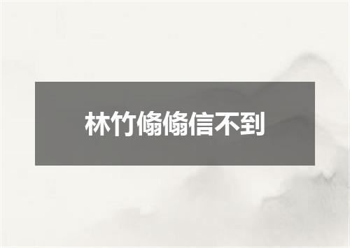 林竹翛翛信不到