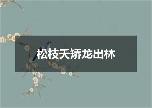 松枝夭矫龙出林