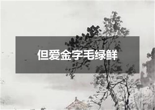 但爱金字毛绿鲜