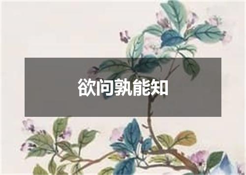 欲问孰能知