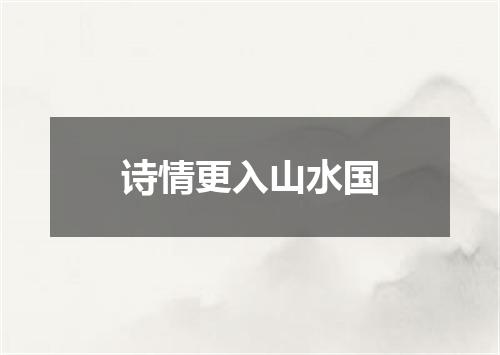 诗情更入山水国