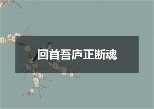 回首吾庐正断魂