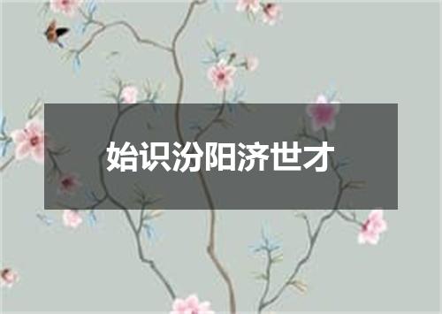 始识汾阳济世才