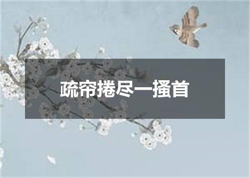 疏帘捲尽一搔首