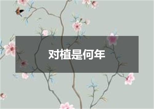 对植是何年