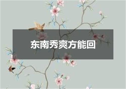 东南秀爽方能回