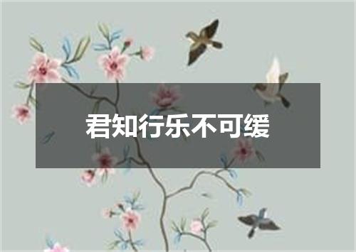 君知行乐不可缓