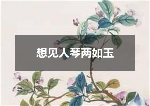 想见人琴两如玉