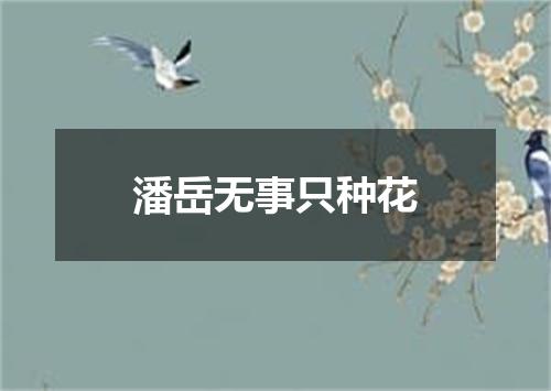 潘岳无事只种花