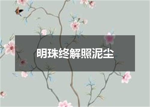 明珠终解照泥尘