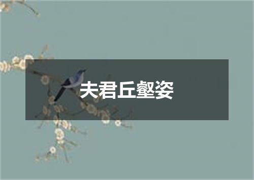 夫君丘壑姿