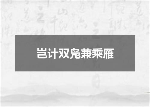 岂计双凫兼乘雁