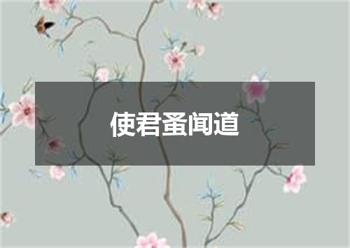 使君蚤闻道