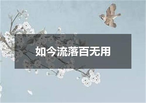 如今流落百无用