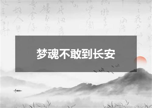 梦魂不敢到长安