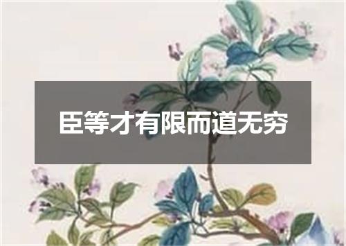 臣等才有限而道无穷