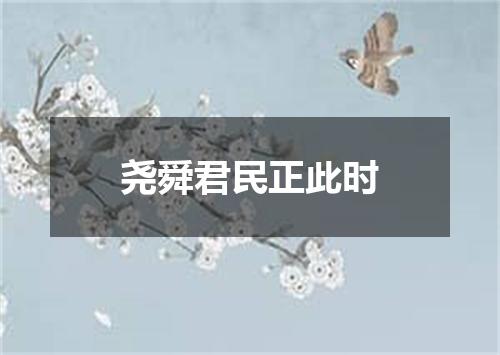 尧舜君民正此时