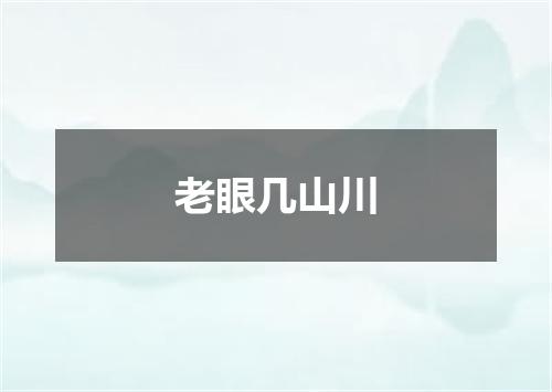 老眼几山川