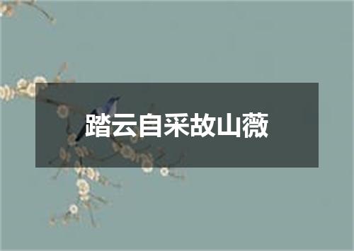 踏云自采故山薇