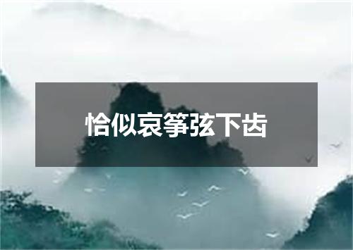 恰似哀筝弦下齿