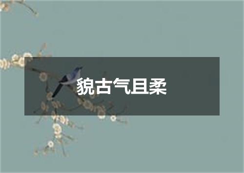 貌古气且柔