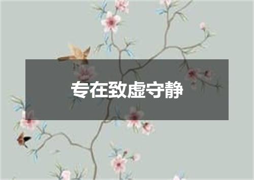 专在致虚守静