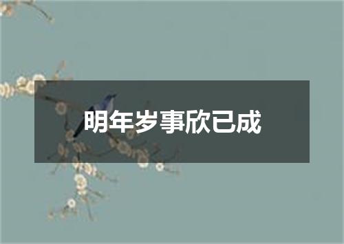 明年岁事欣已成