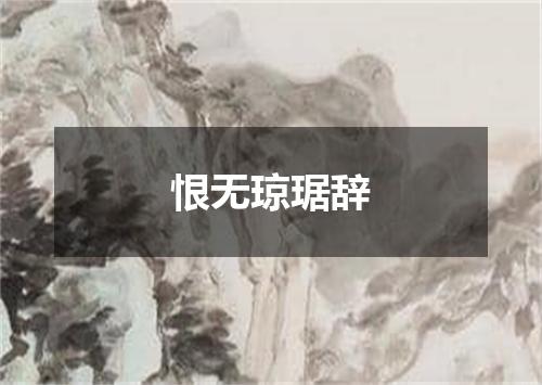 恨无琼琚辞