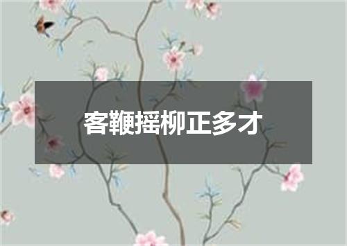 客鞭摇柳正多才