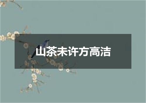 山茶未许方高洁