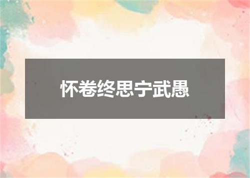 怀卷终思宁武愚