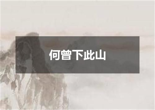 何曾下此山