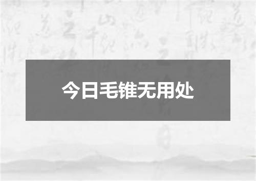 今日毛锥无用处