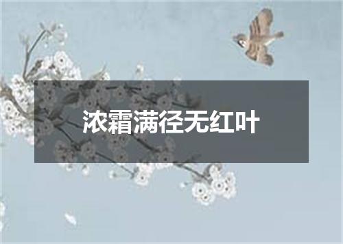 浓霜满径无红叶