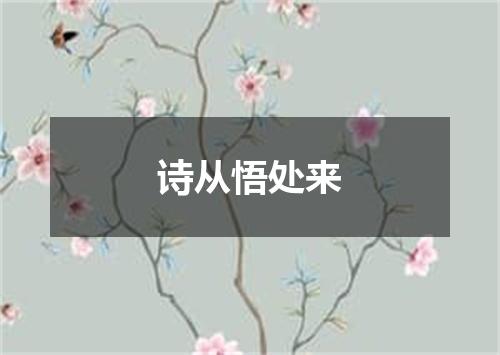 诗从悟处来