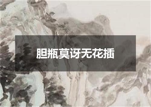 胆瓶莫讶无花插