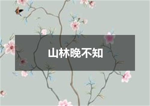 山林晚不知