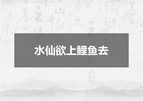 水仙欲上鲤鱼去