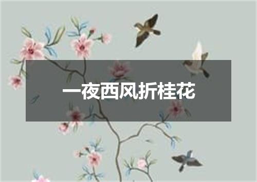 一夜西风折桂花