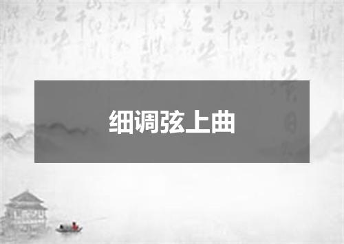 细调弦上曲