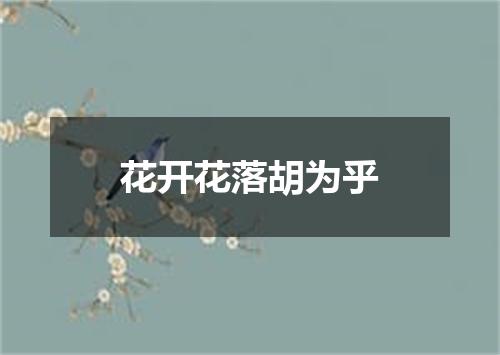 花开花落胡为乎