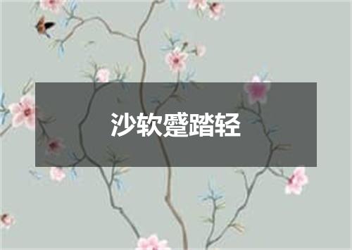 沙软蹙踏轻