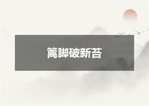 篱脚破新苔