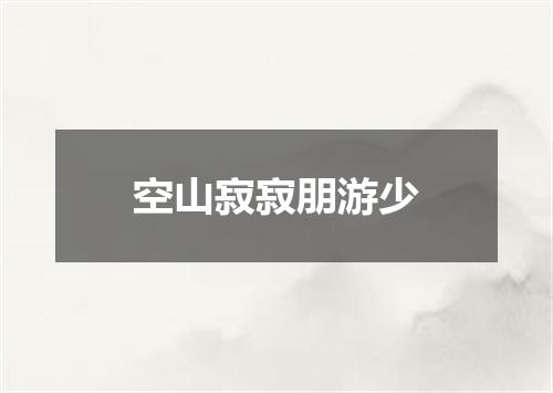 空山寂寂朋游少