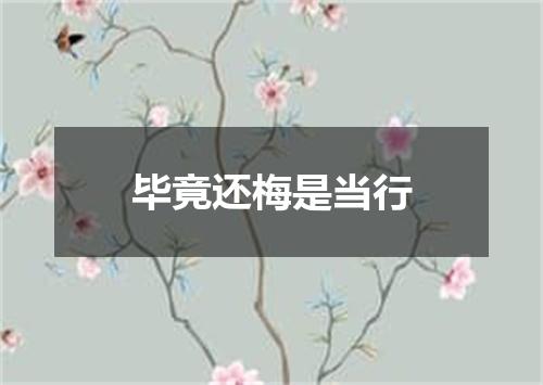 毕竟还梅是当行